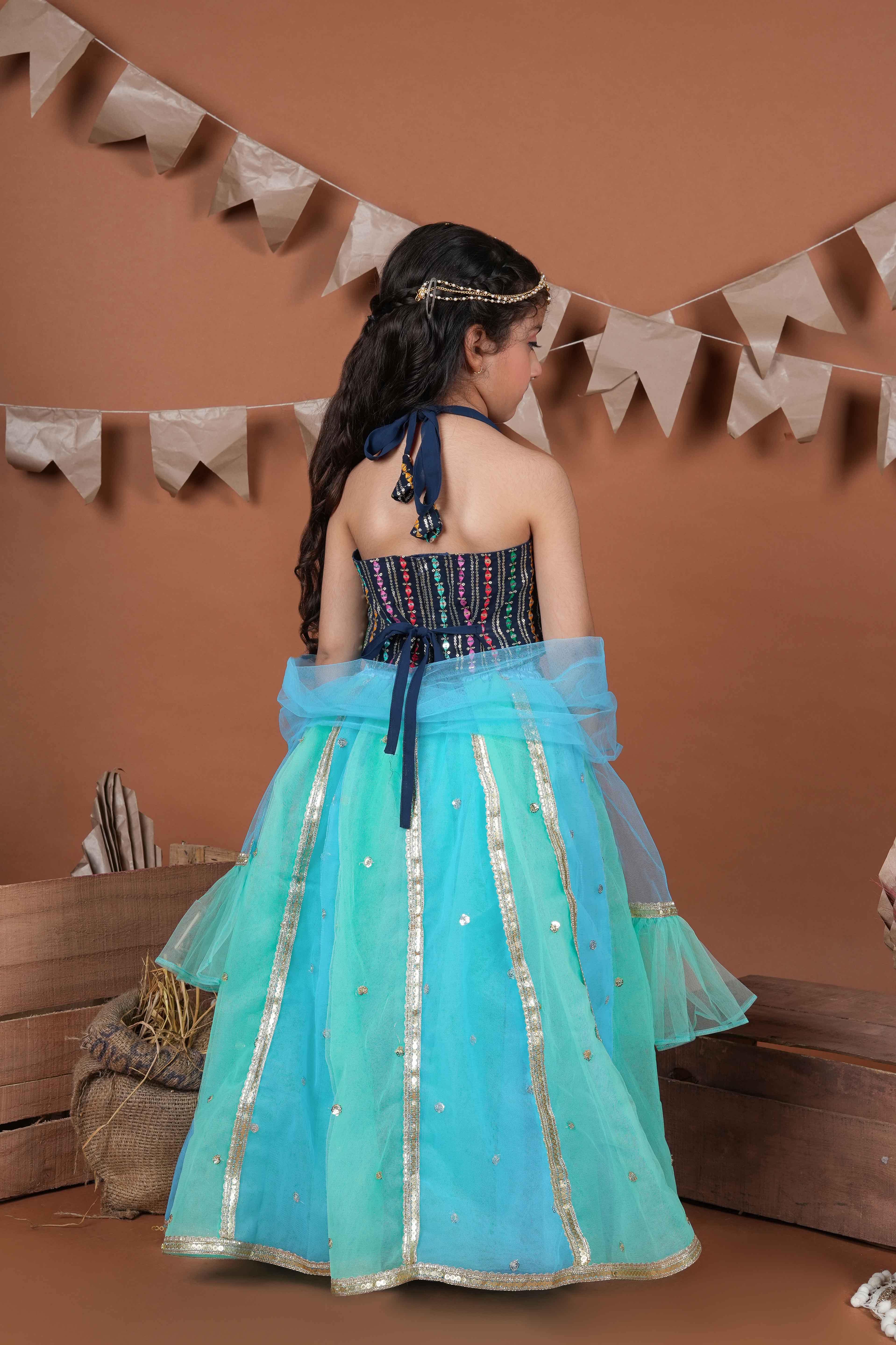 Beautiful Multicoloured net lehenga-NETMULTI