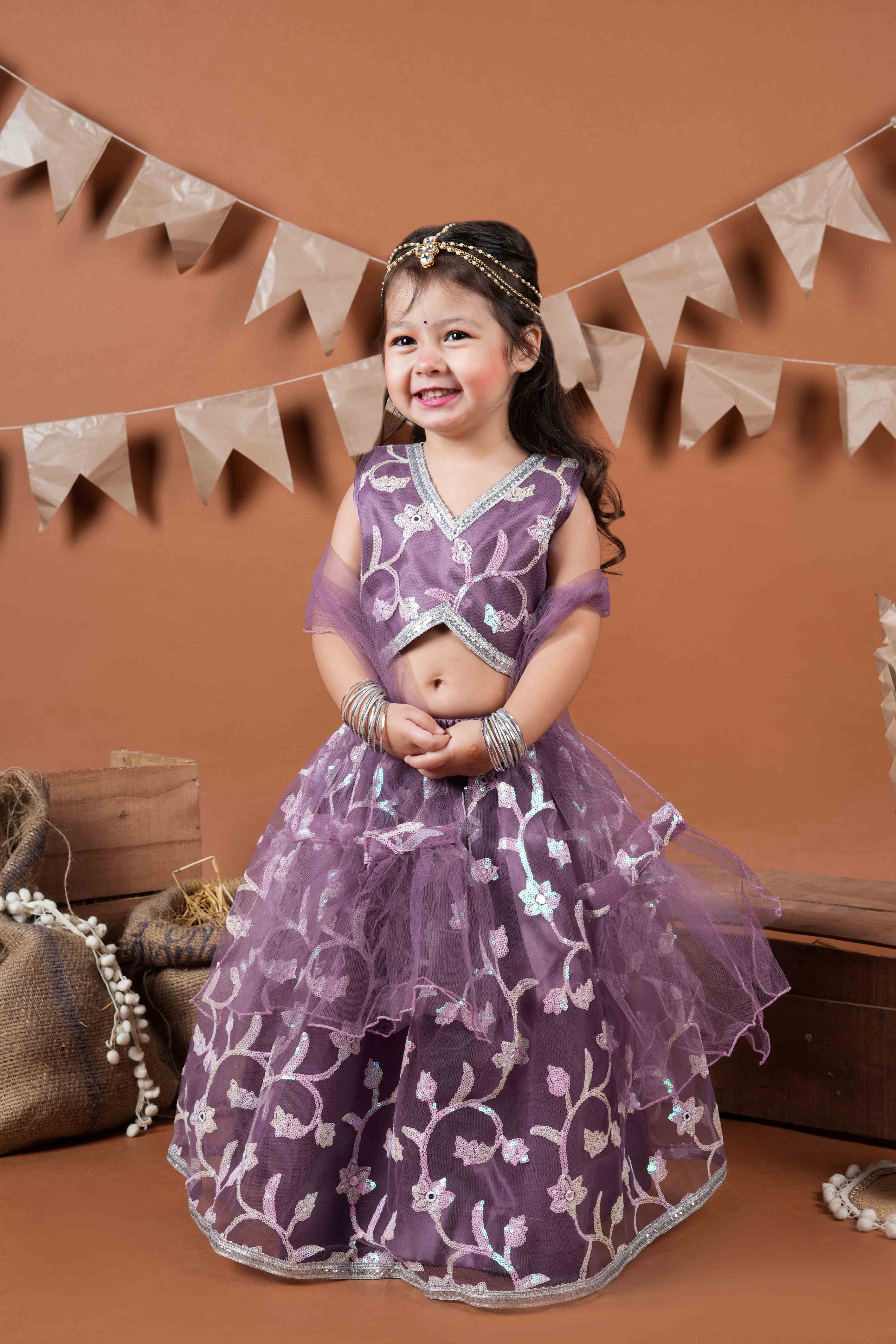 Embroidered Net lehenga with choli-T-Purpleleh