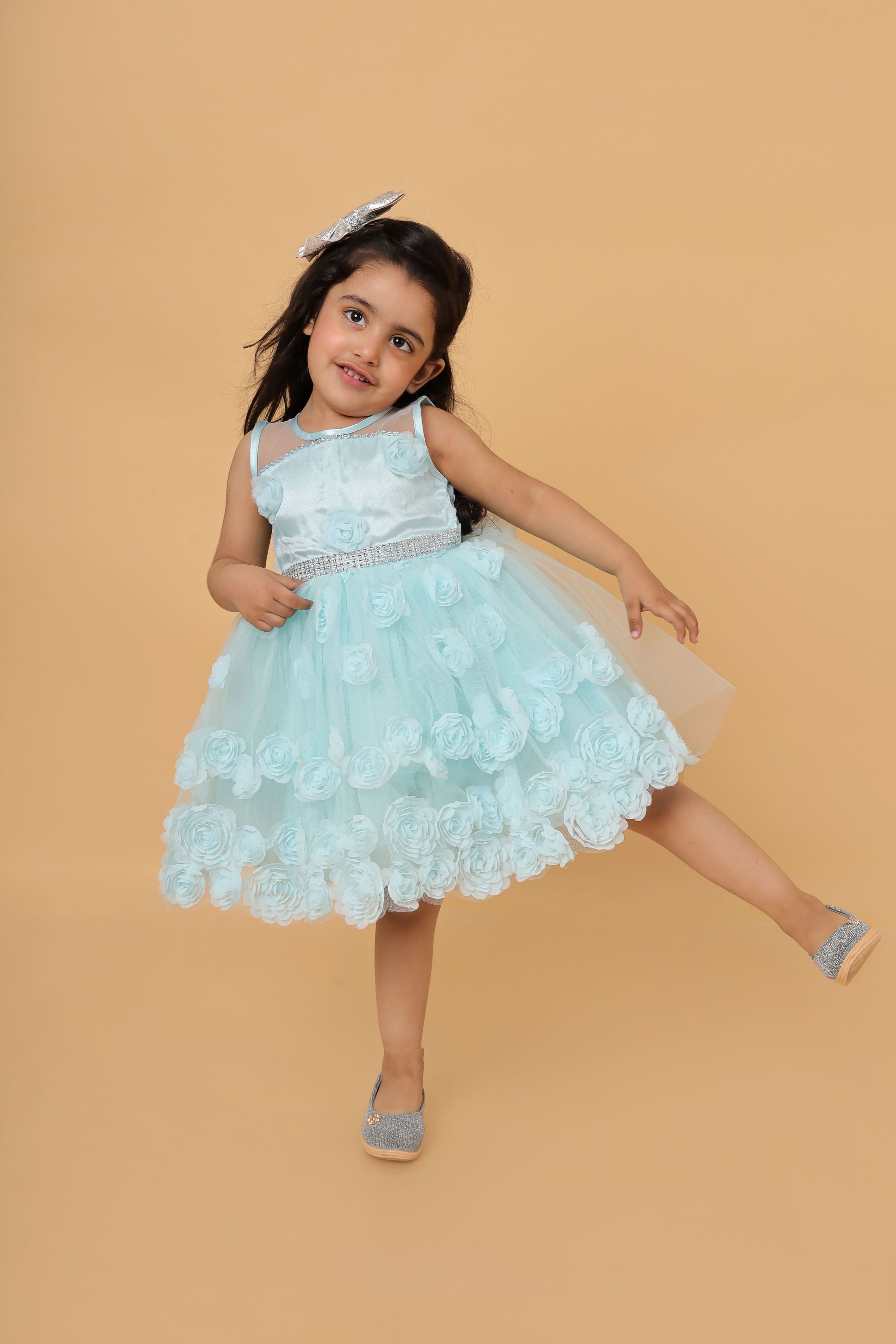 Flower Decorated fit and flare net party frock