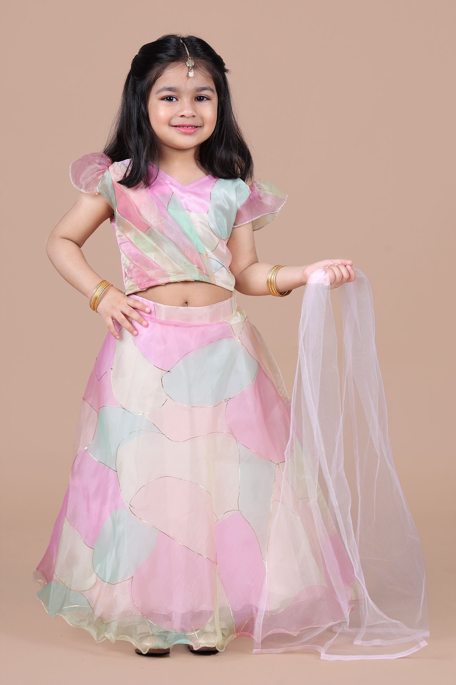 Multicoloured organza lehenga with flared top and dupatta-Multicolour