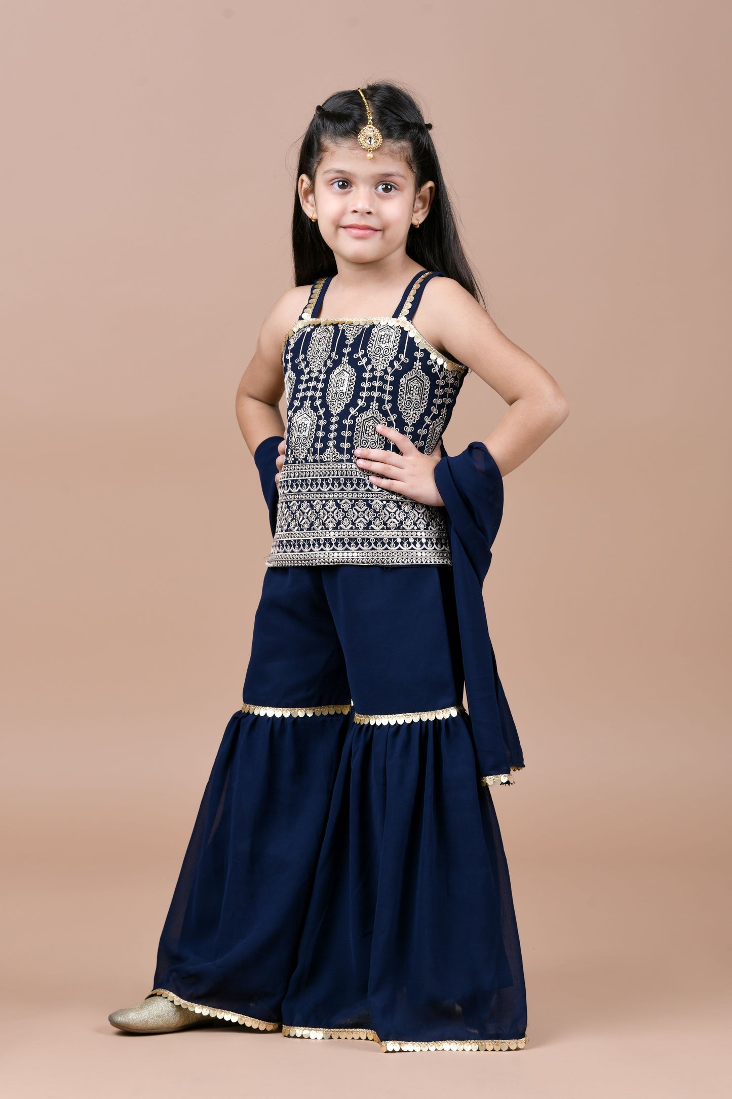 Embroidered top with sharara and dupatta-Navy Blue