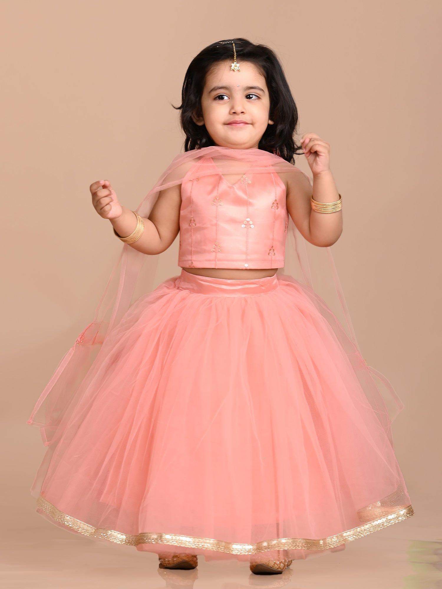 Sleeveless Embellished halter neck Choli and Net Lehenga & Dupatta - Peach