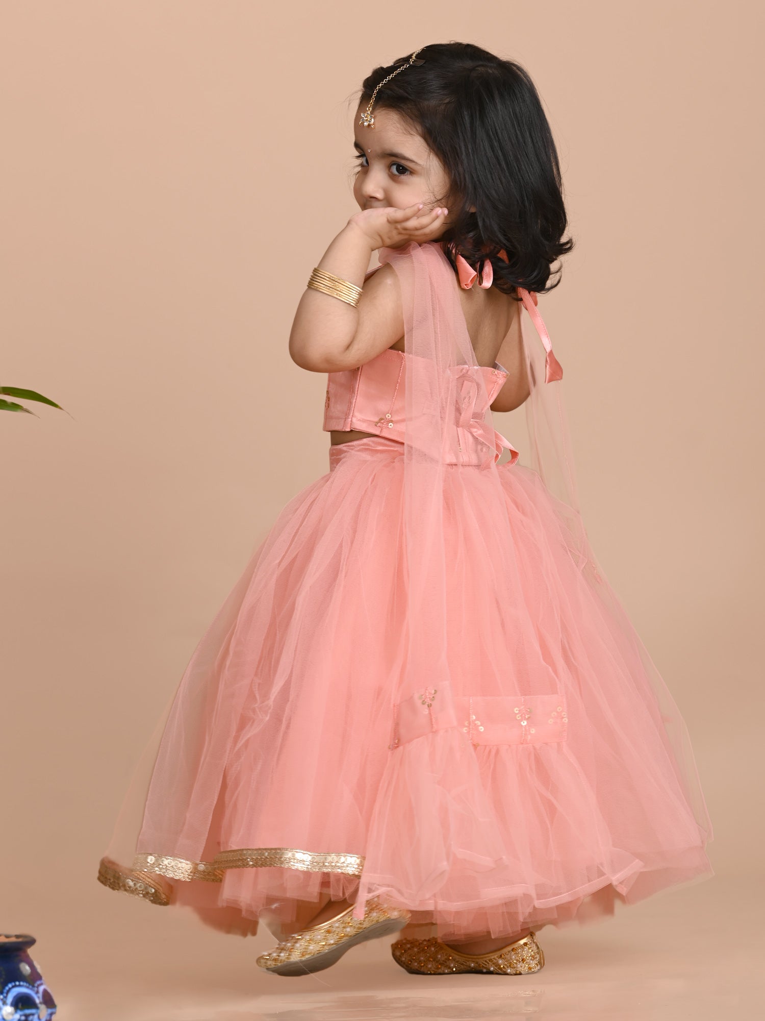 Sleeveless Embellished halter neck Choli and Net Lehenga & Dupatta - Peach