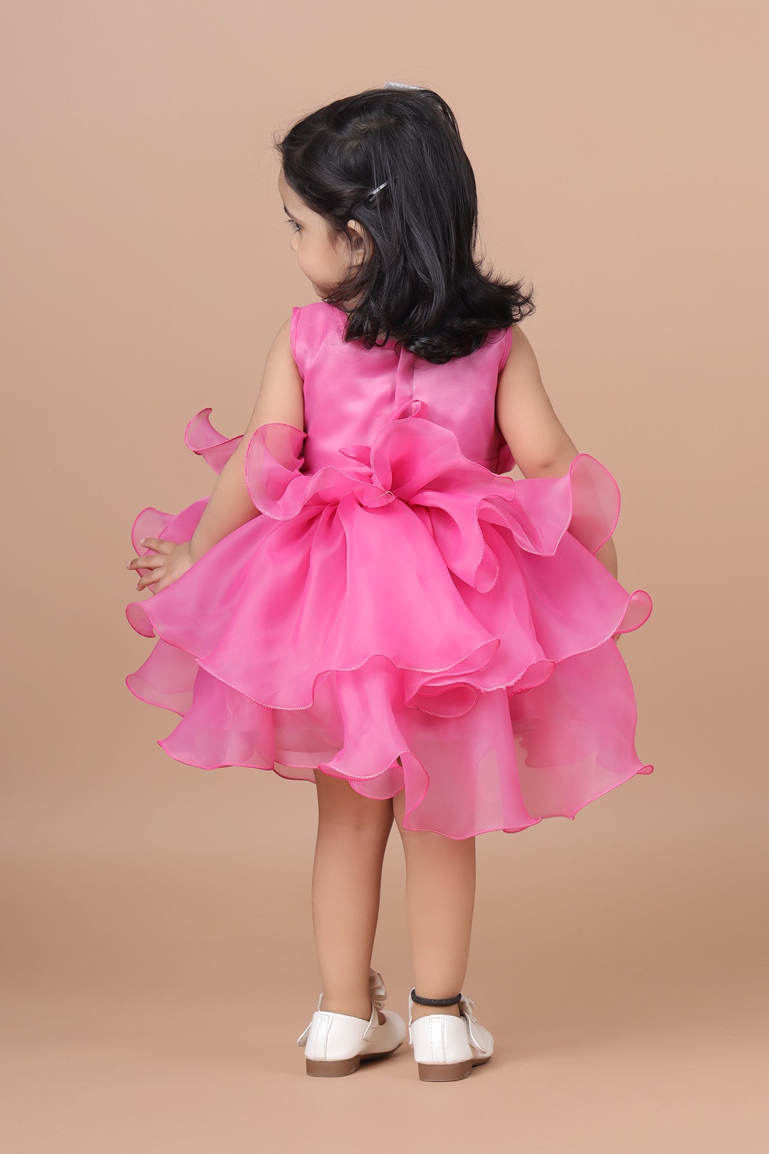Rani Organza fit and flare frock