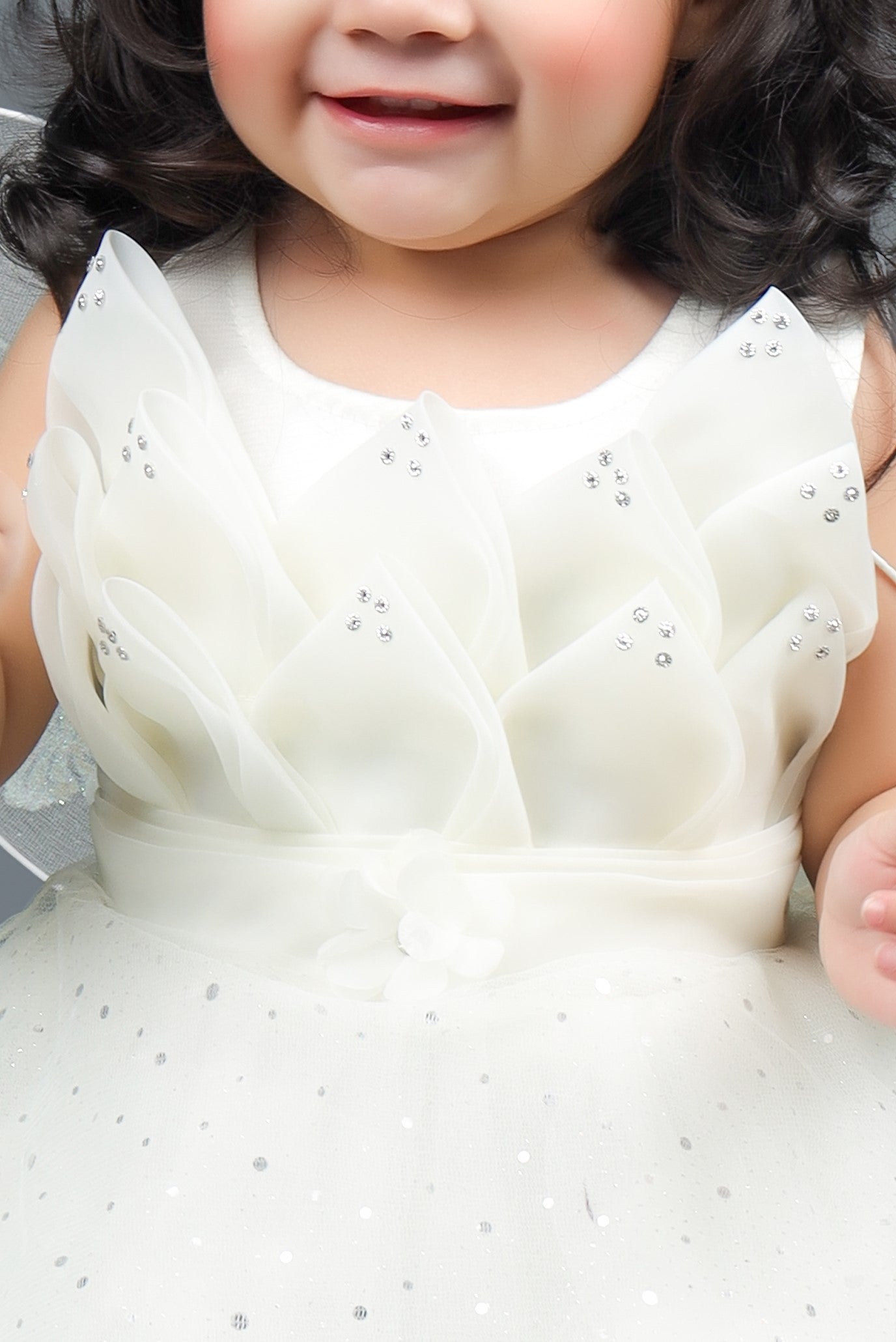 Applique Fit & Flare leaf Frock With Wings (White)