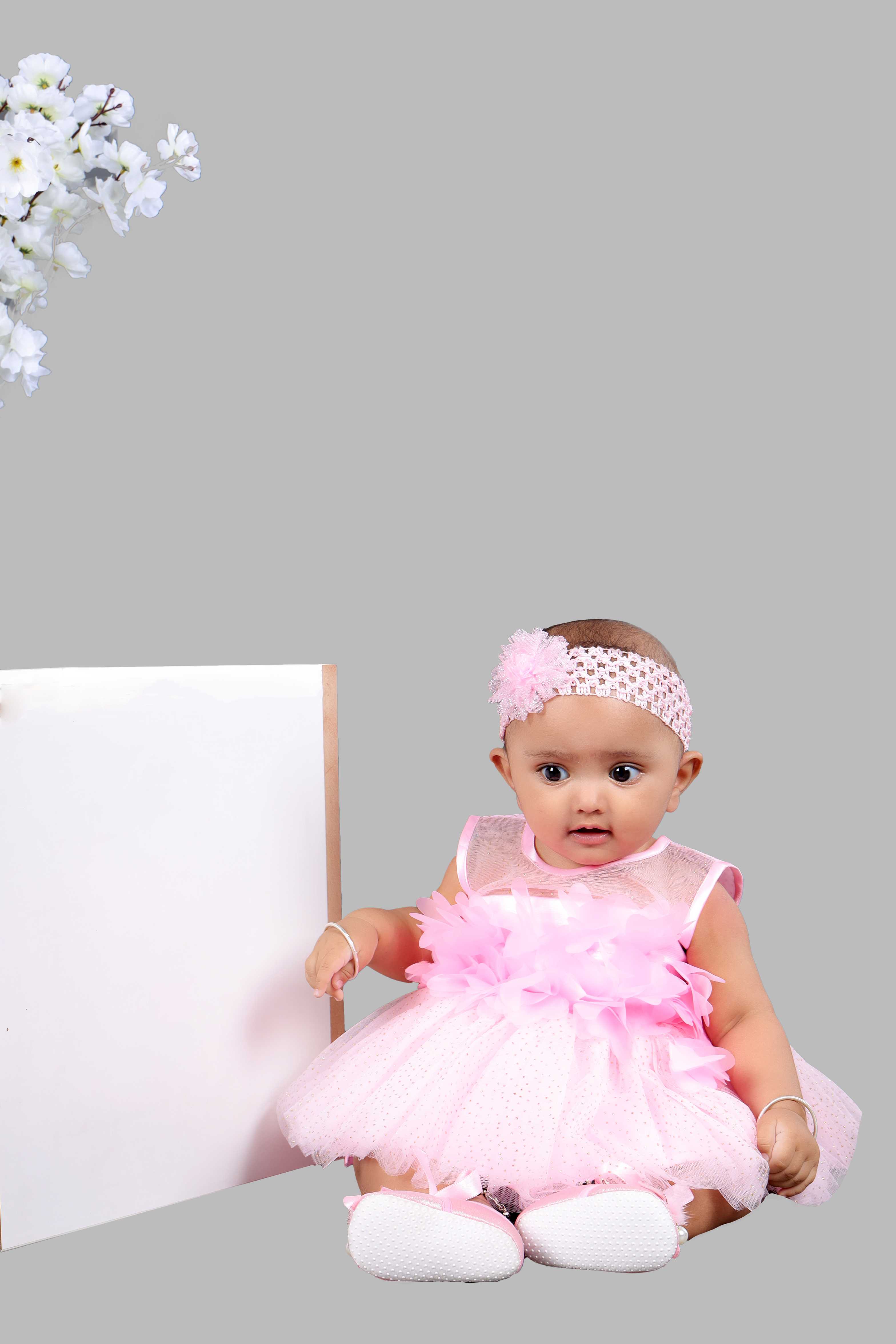 Sleeveless Fit and Flare Net Party Frock (Pink)