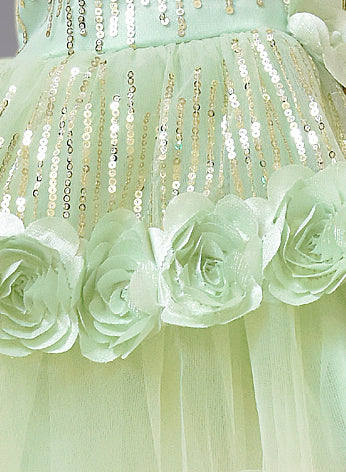 Roses Baby Party Frock (Pistachio)